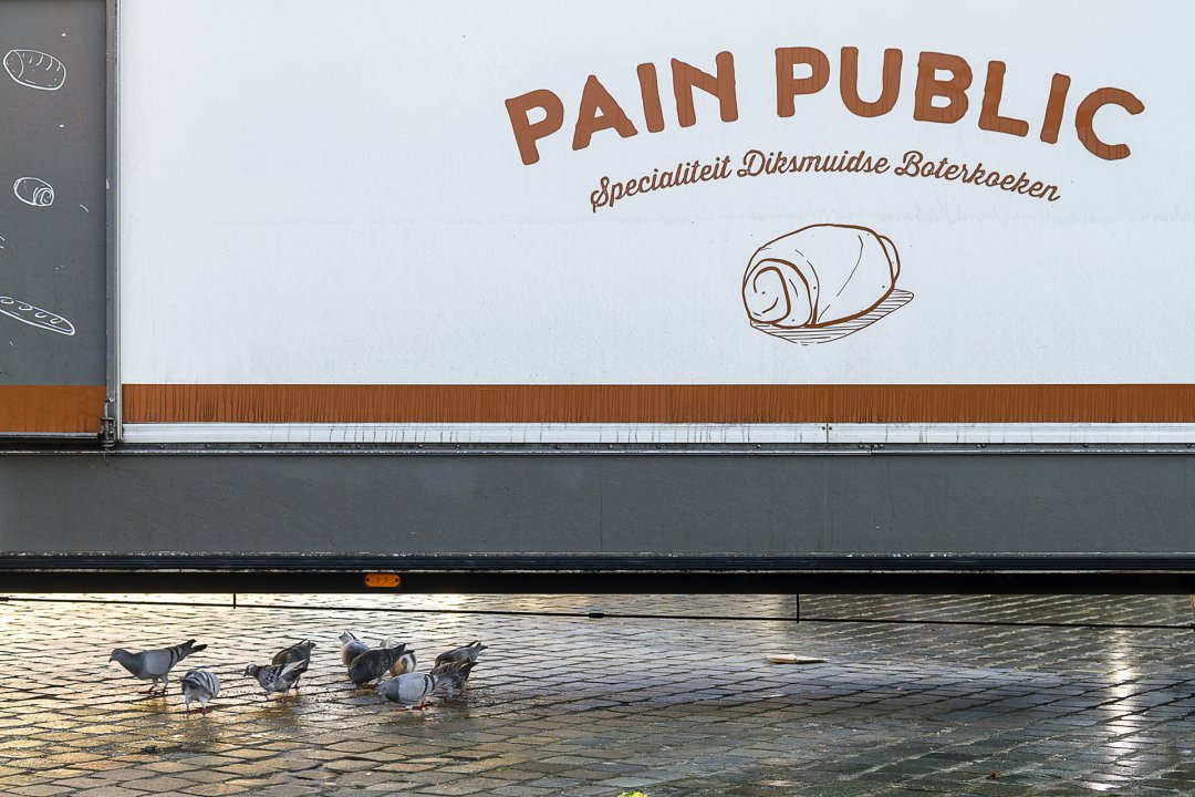 Pain Public